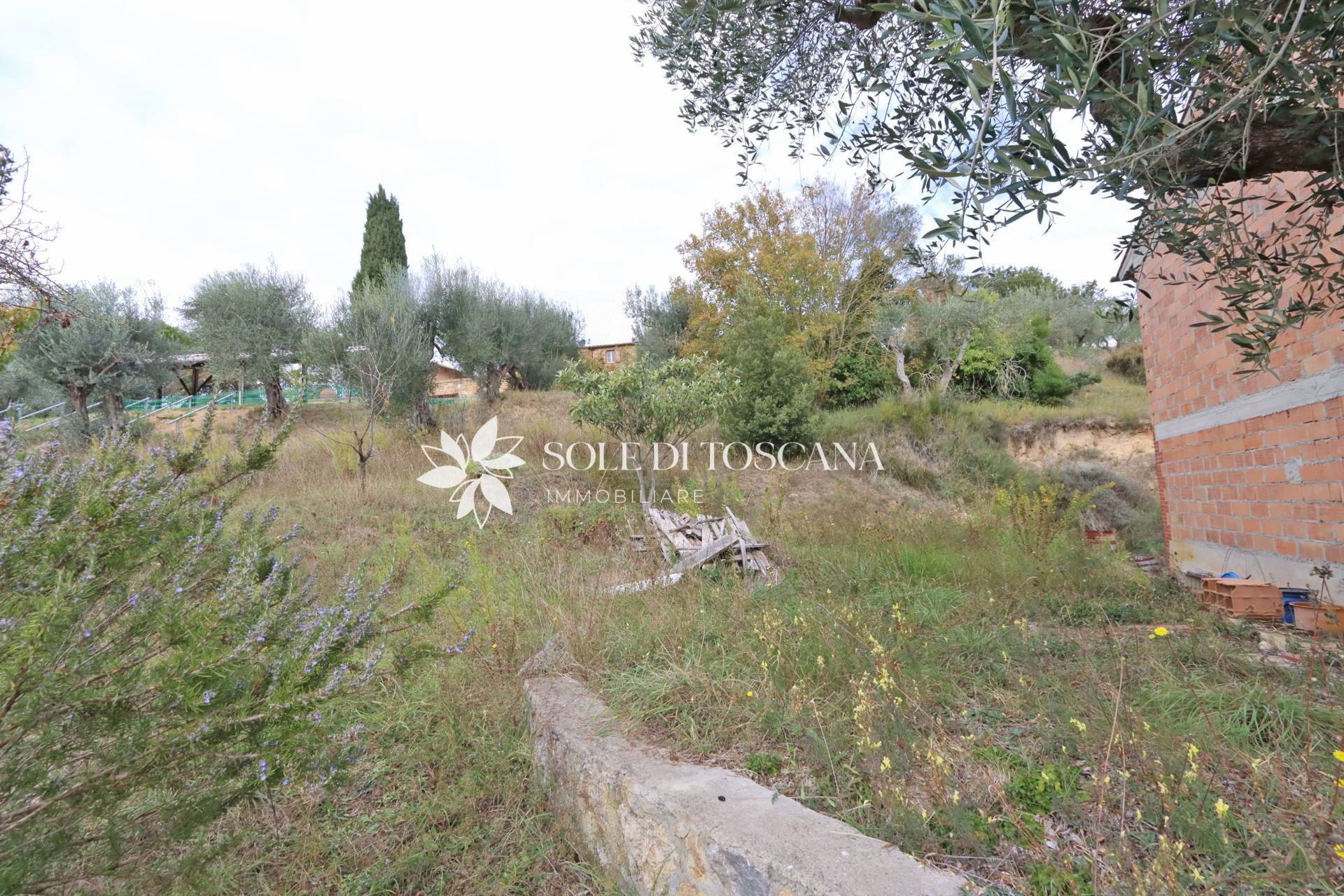 Casa singola in vendita a Trequanda, Petroio