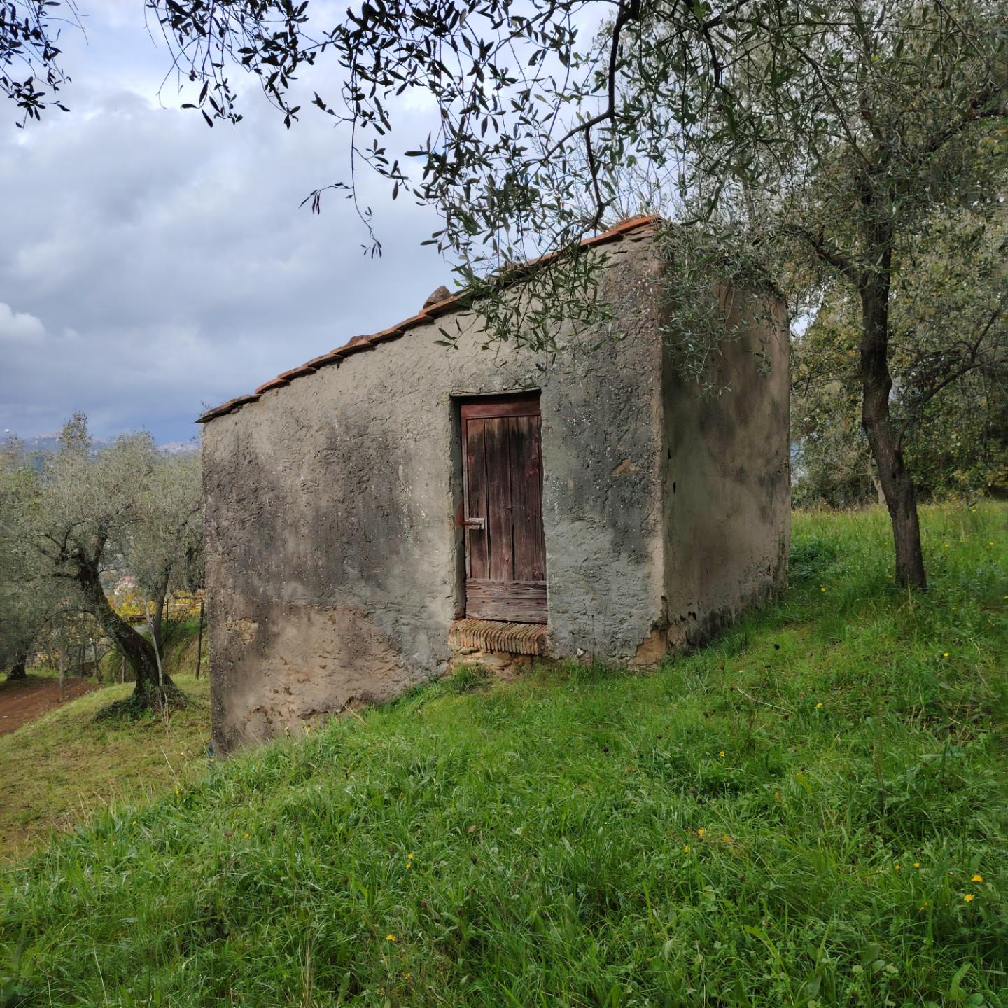 Terreno Edificabile in vendita, Arcola trebiano