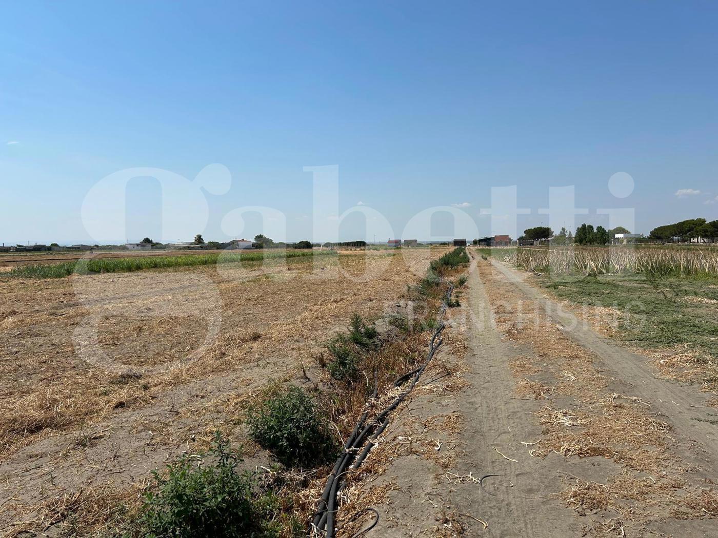 Casa indipendente in vendita a Margherita di Savoia