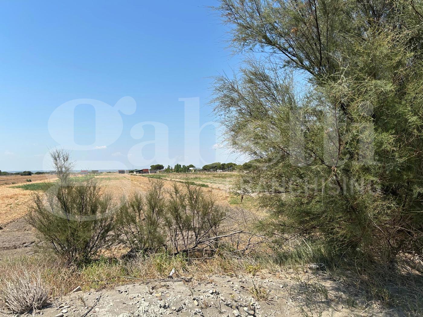 Casa indipendente in vendita a Margherita di Savoia