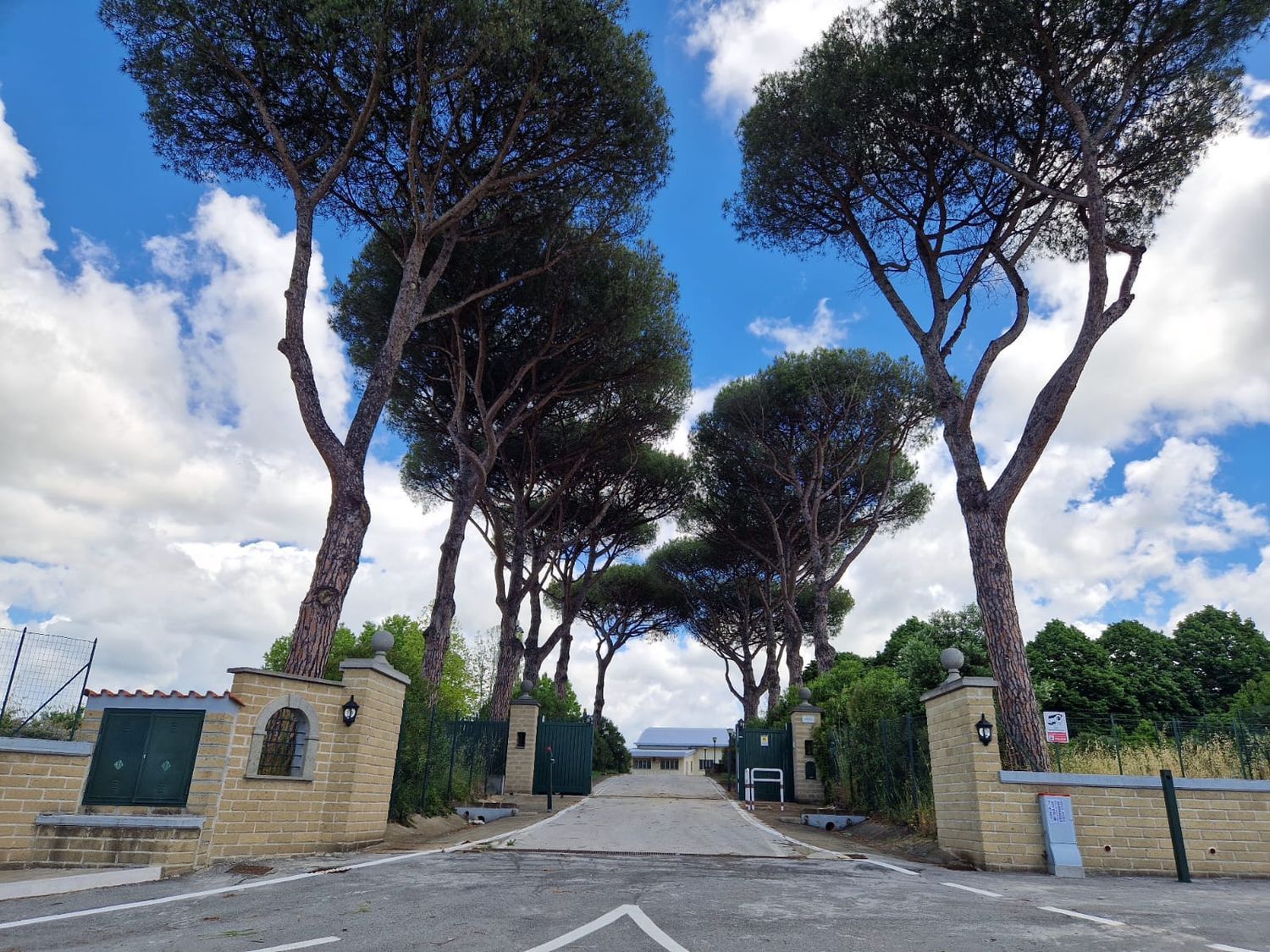 Capannone in affitto in via via laurentina 1843, Roma