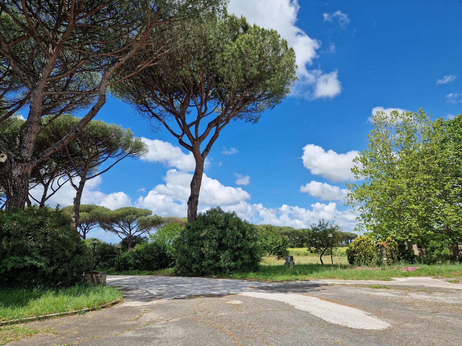 Capannone in affitto in via via laurentina 1843, Roma