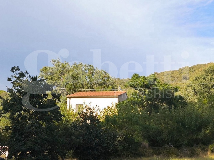 Casa indipendente con giardino a Scarlino