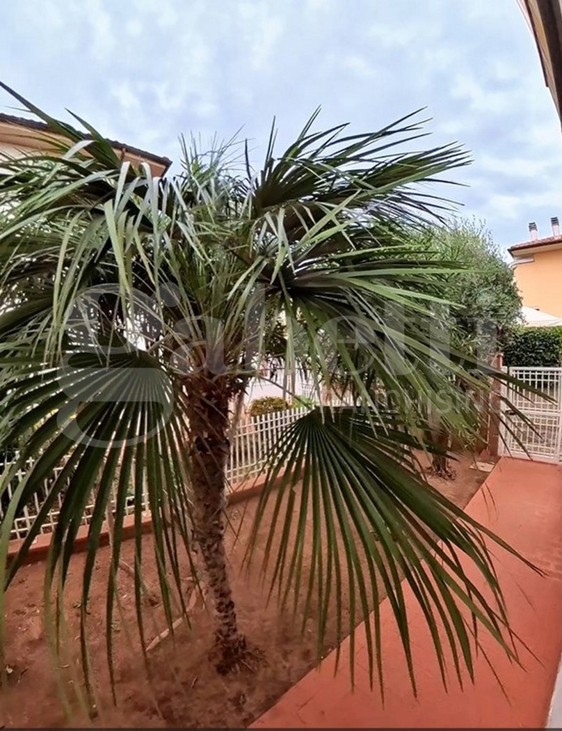 Quadrilocale con giardino a Follonica