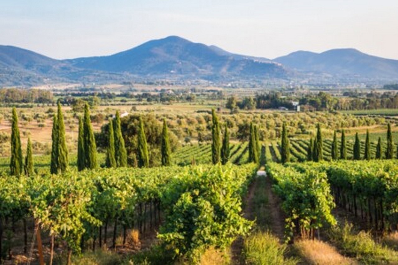 Quadrilocale in vendita a Gavorrano