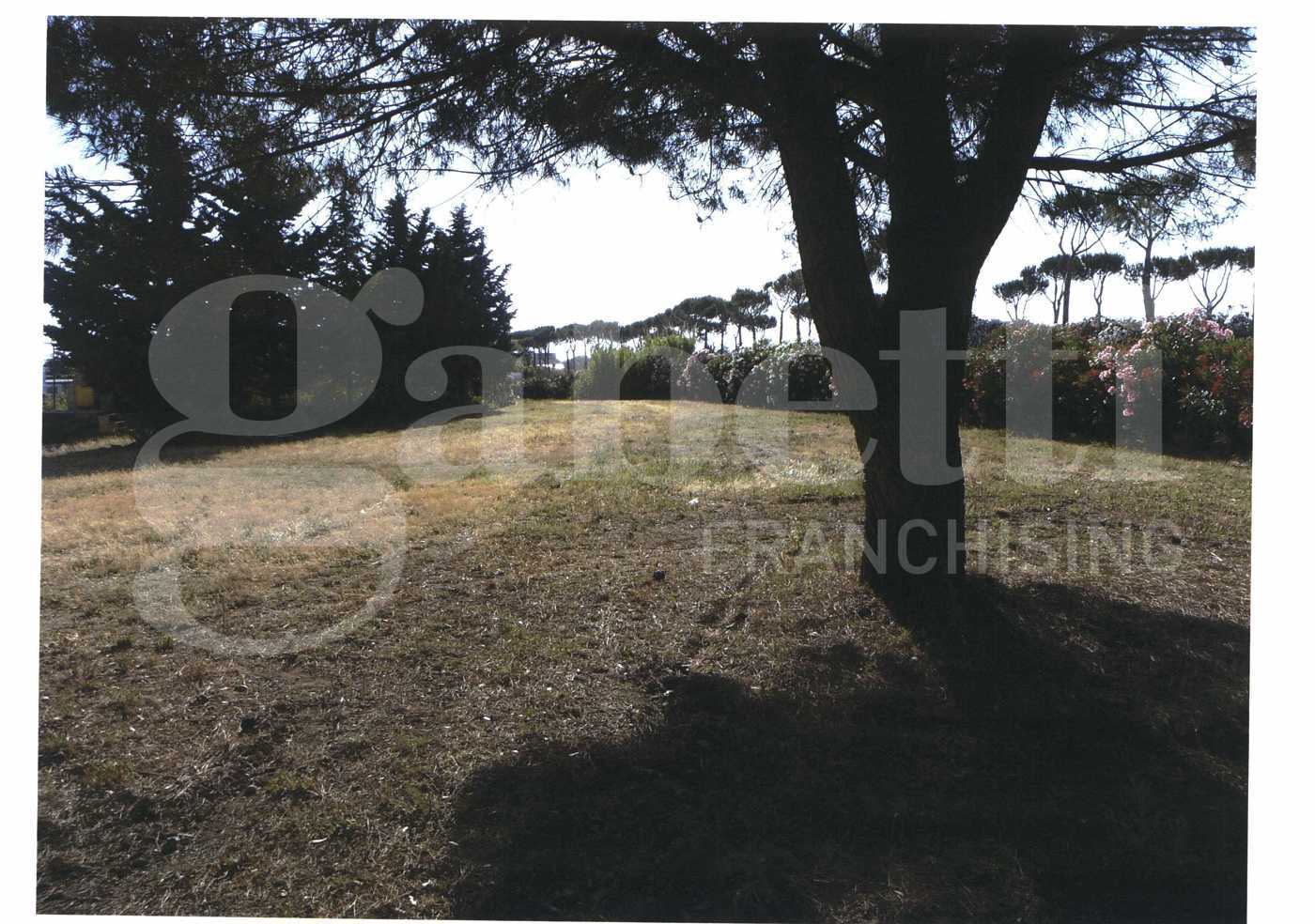 Magazzino in vendita a Scarlino