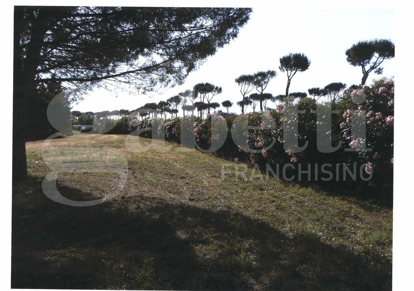 Magazzino in vendita a Scarlino