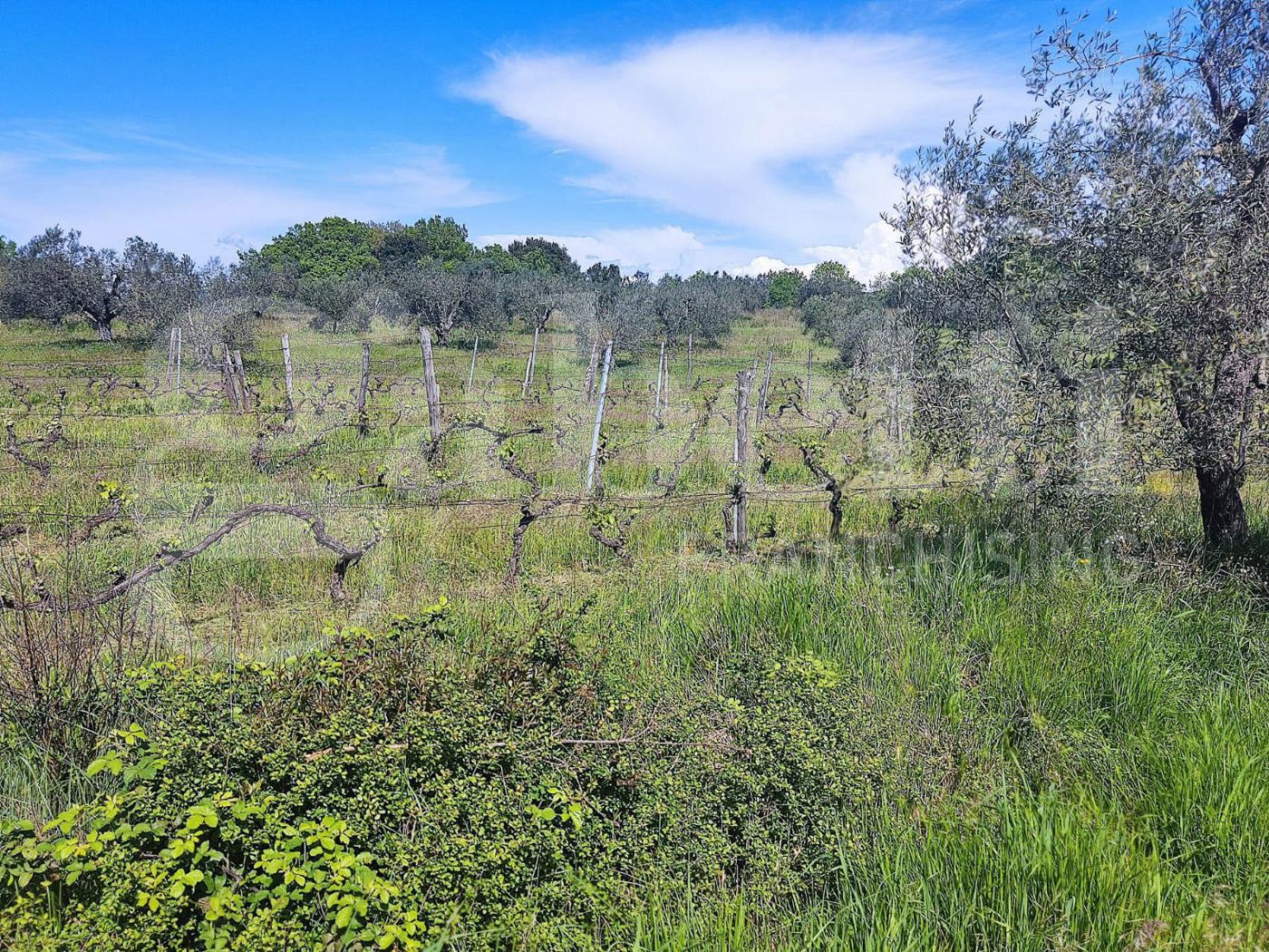 Casa indipendente con giardino a Massa Marittima