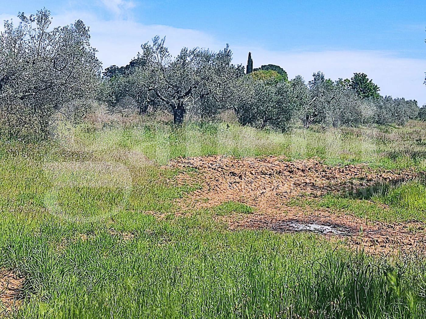 Casa indipendente con giardino a Massa Marittima