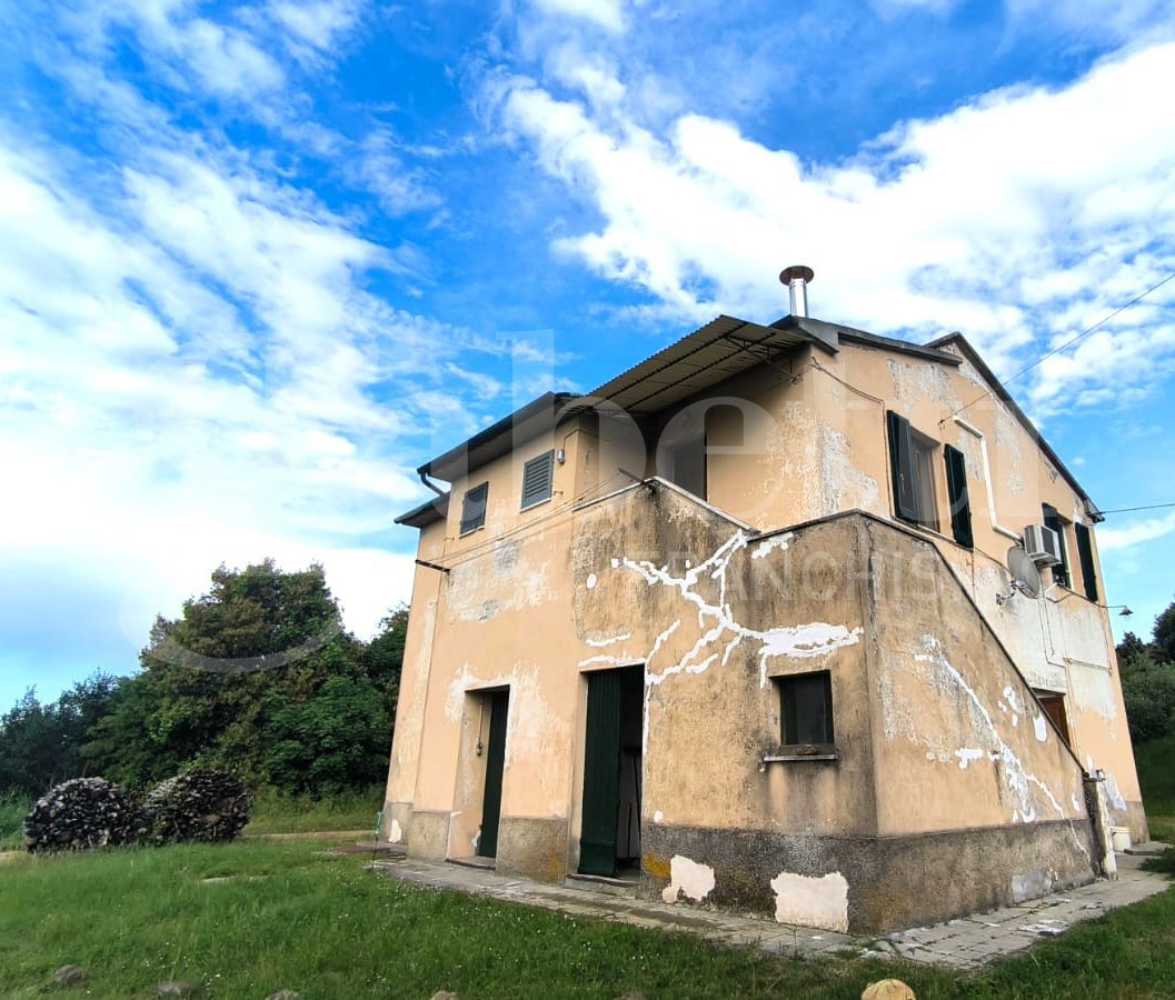 Casa indipendente con giardino a Massa Marittima