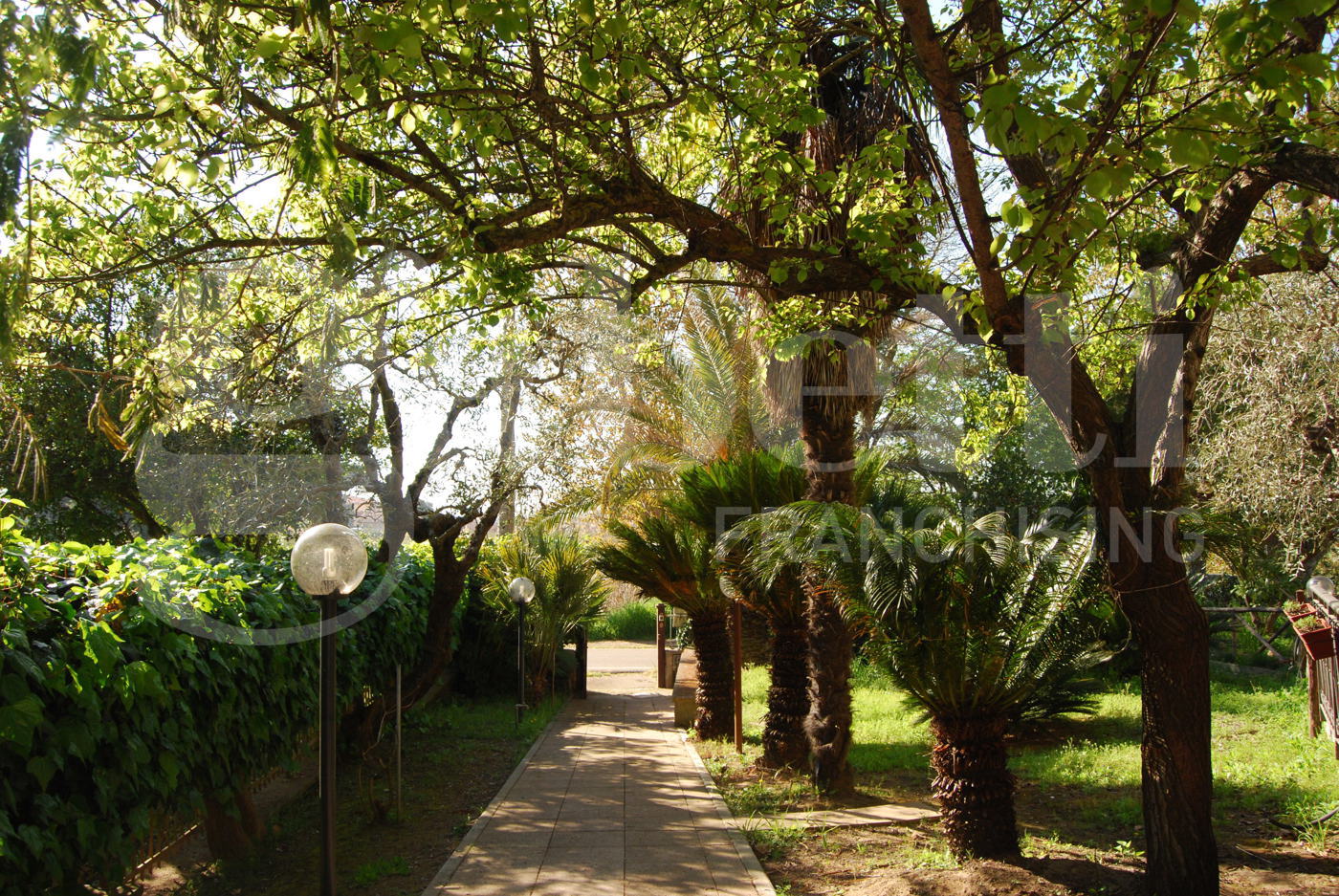 Villa Bifamiliare con giardino a Scarlino