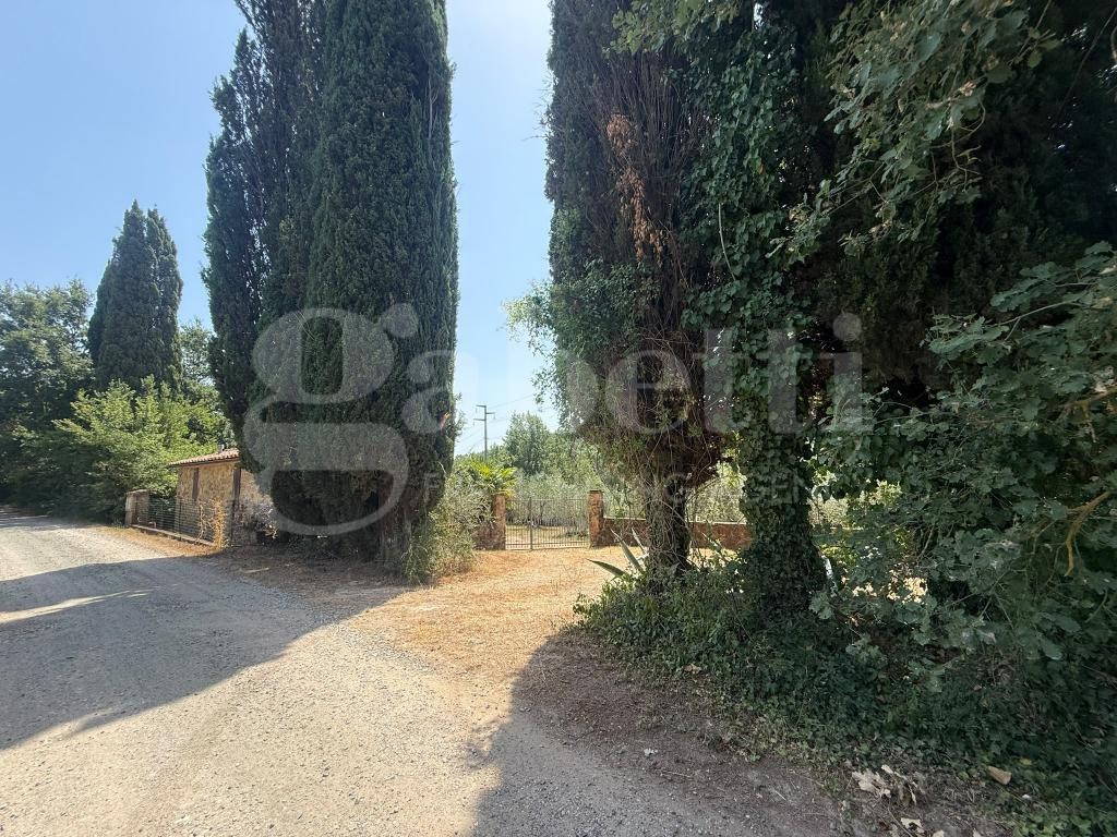 Casa indipendente con giardino a Gavorrano