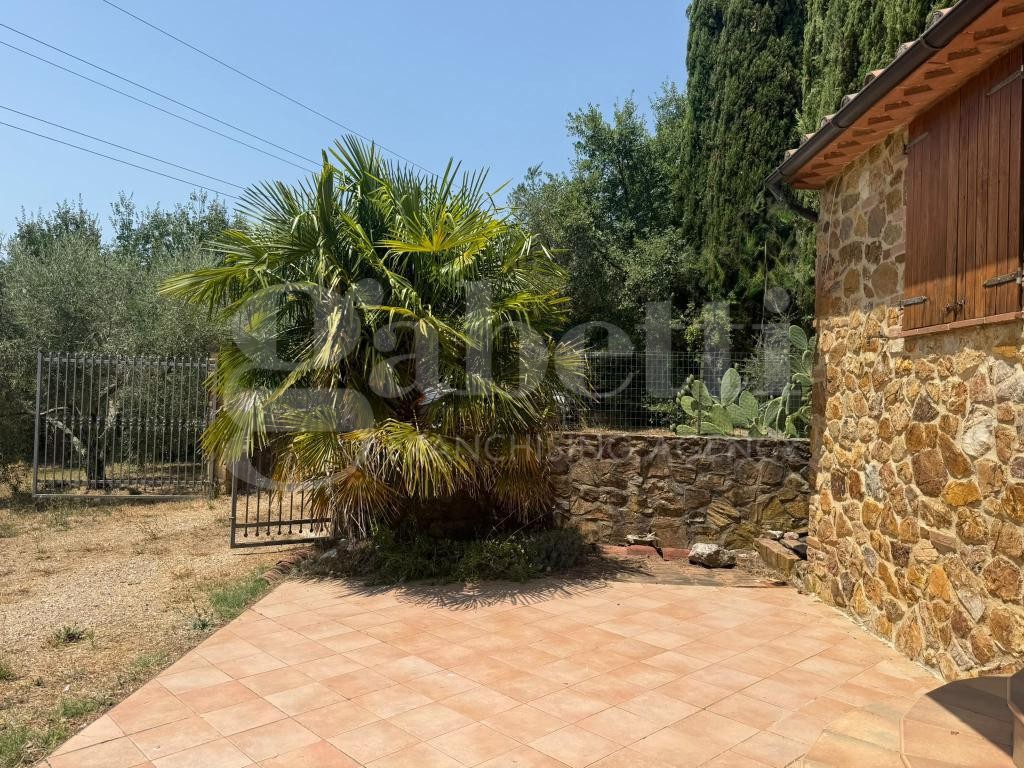 Casa indipendente con giardino a Gavorrano