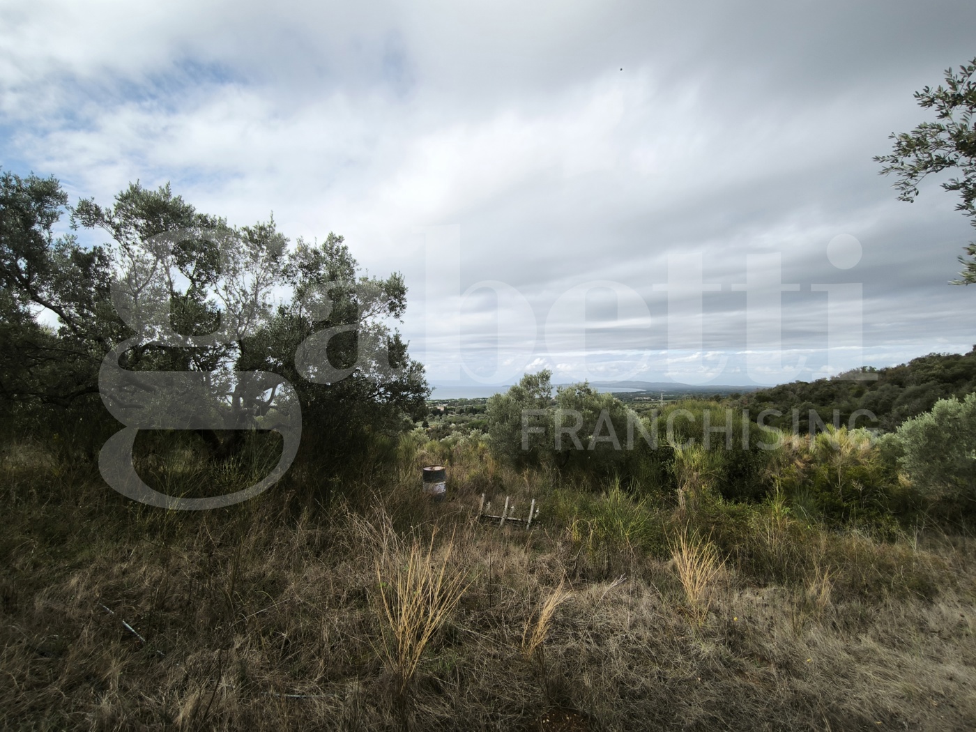 Terreno Agricolo vista mare a Follonica