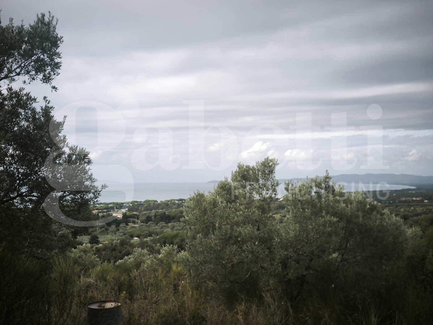 Terreno Agricolo vista mare a Follonica