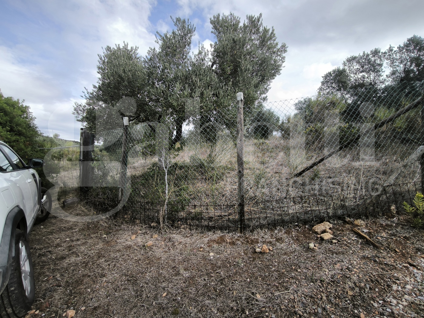 Terreno Agricolo vista mare a Follonica