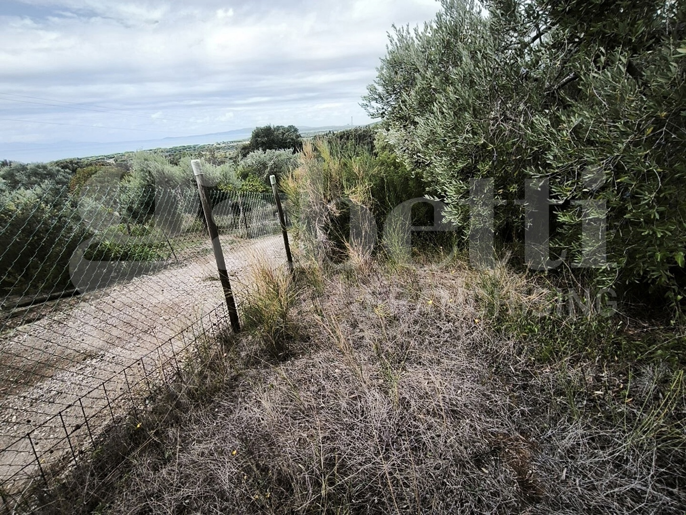Terreno Agricolo vista mare a Follonica