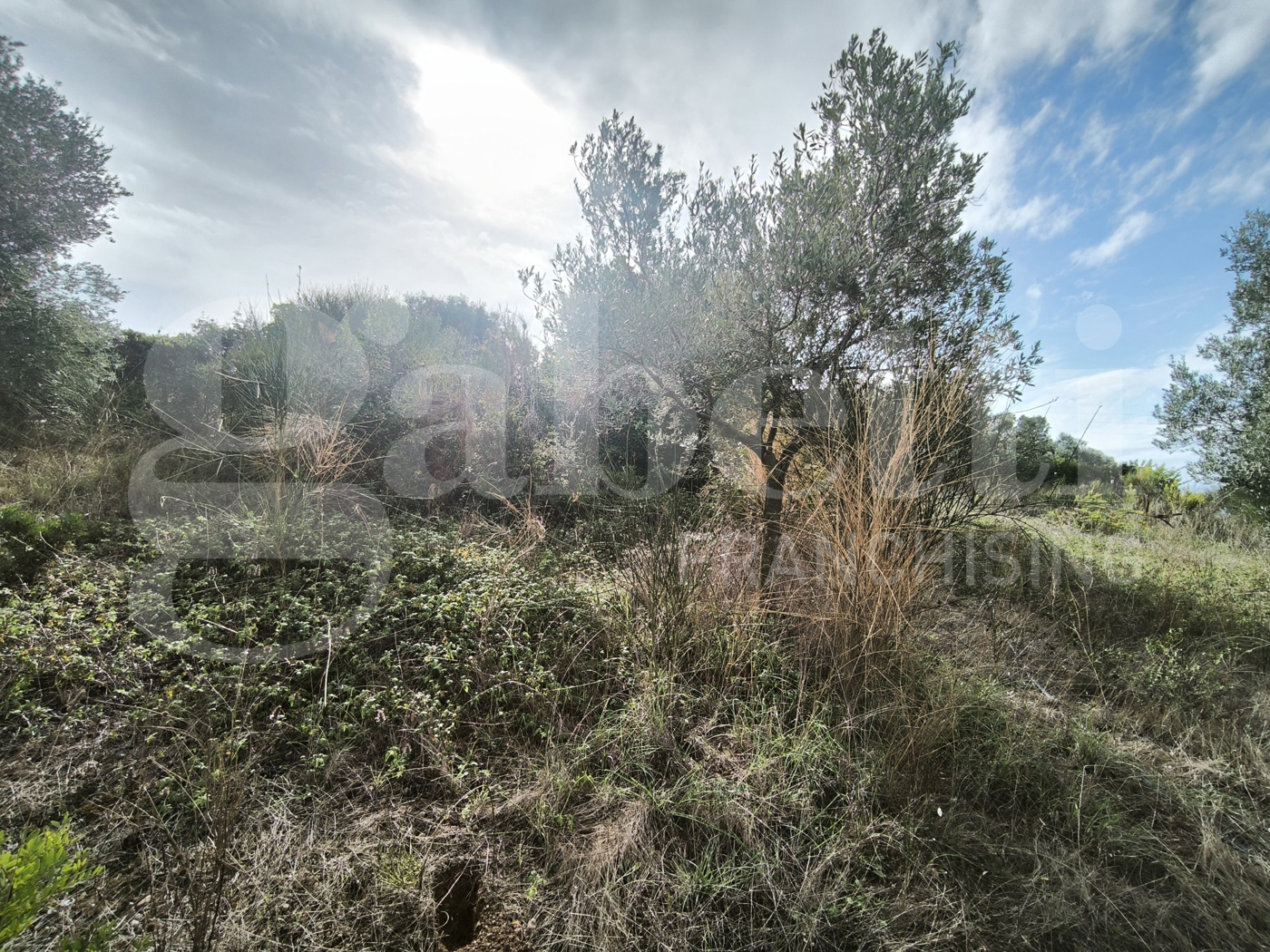 Terreno Agricolo vista mare a Follonica