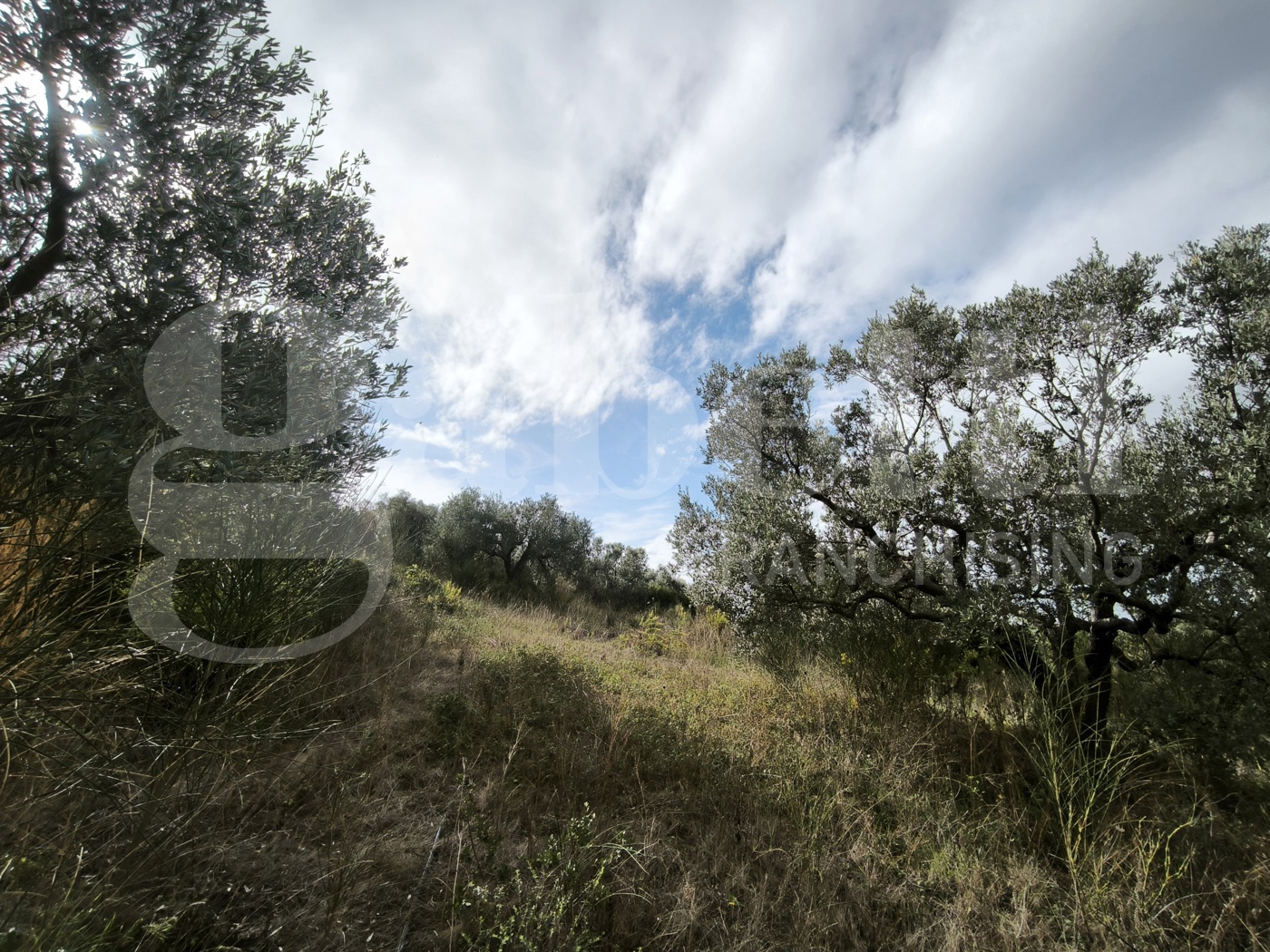 Terreno Agricolo vista mare a Follonica