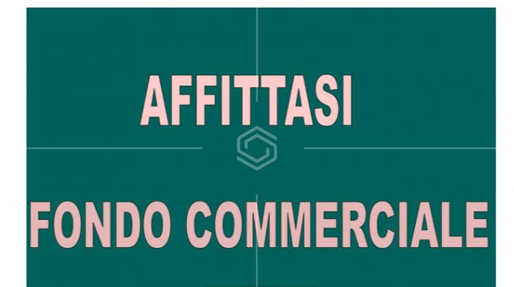 Attivit commerciale in affitto/gestione a Pisa