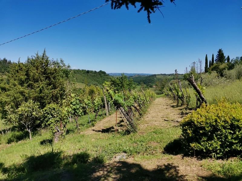 Terreno Agricolo in vendita, Poggibonsi staggia