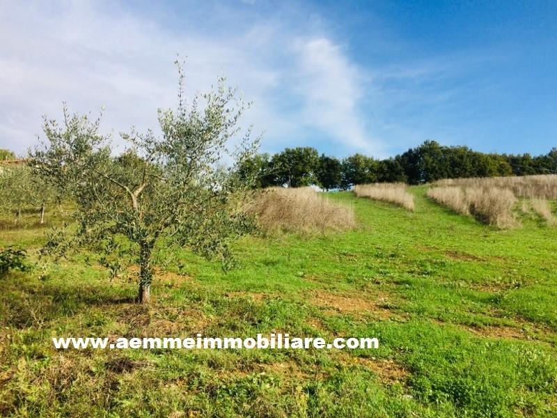 Terreno Edificabile in vendita, Casole d'Elsa cavallano