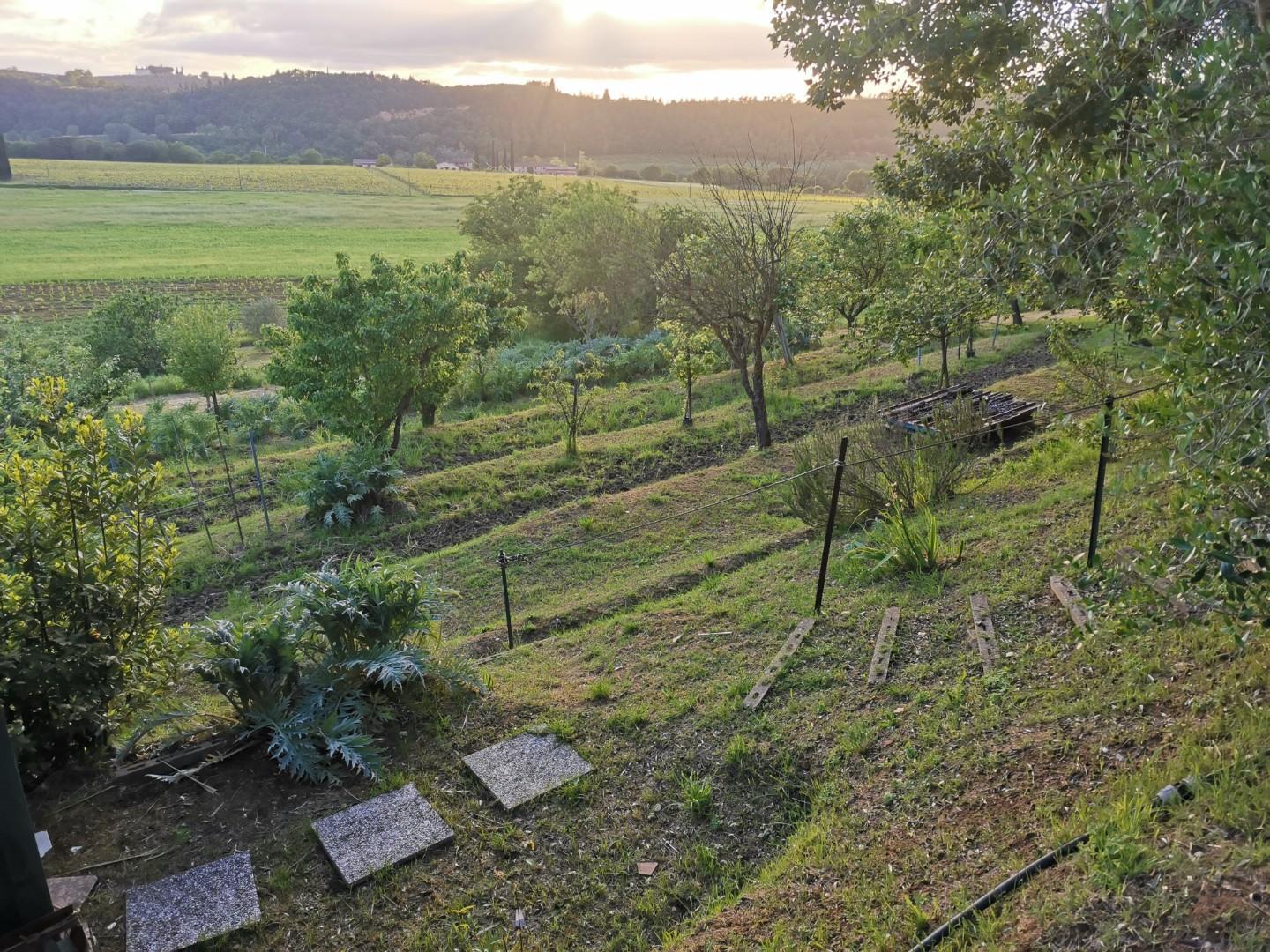 Terreno Agricolo in vendita a Poggibonsi