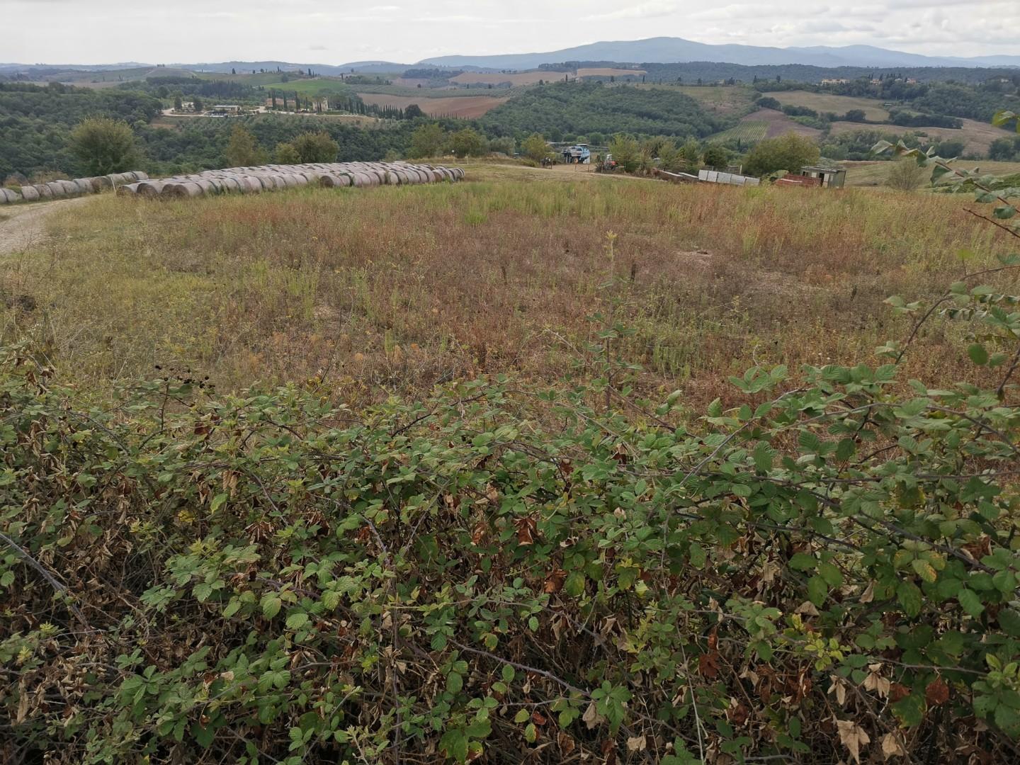 Terreno Agricolo in vendita, Poggibonsi talciona