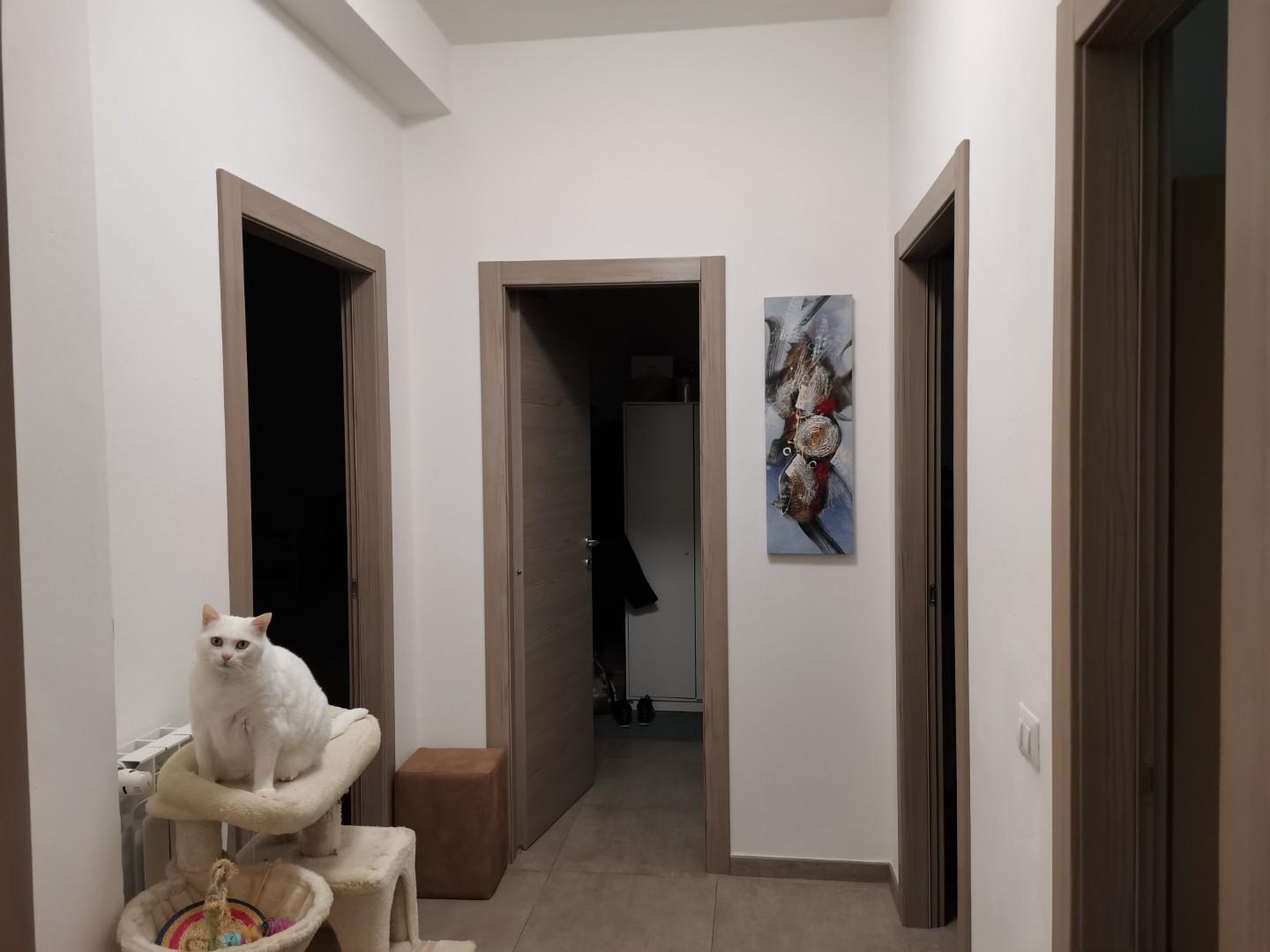 Trilocale con terrazzo, Poggibonsi borgaccio