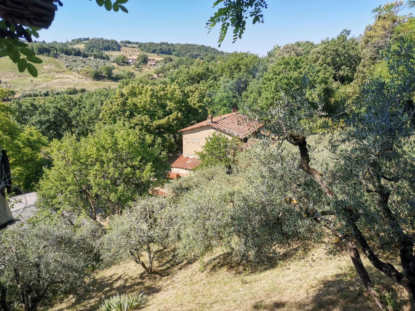 Rustico con giardino, Casole d'Elsa cavallano