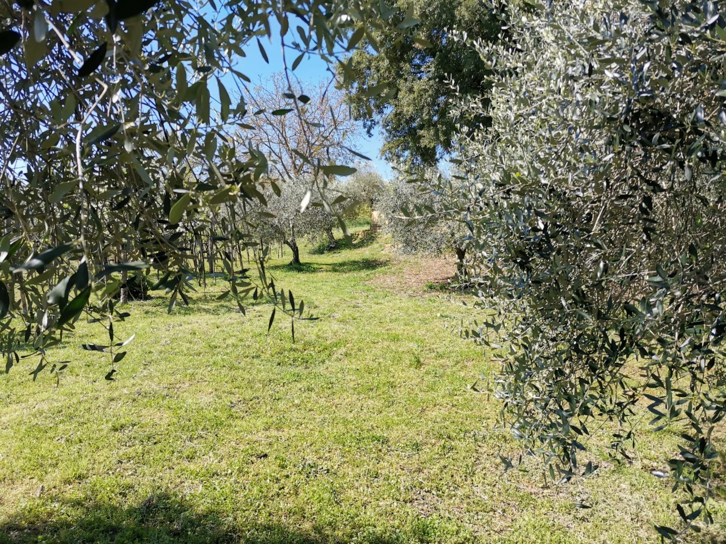 Villa Bifamiliare con giardino, Colle di Val d'Elsa le grazie