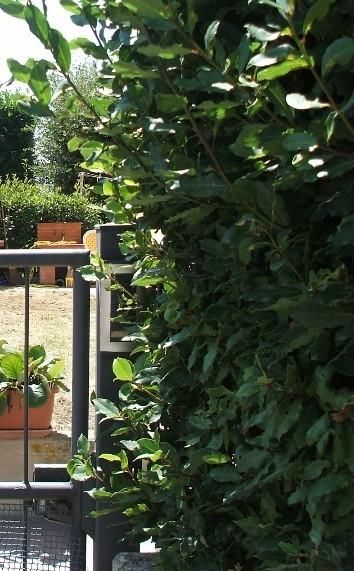 Trilocale arredato in affitto a Colle di Val d'Elsa