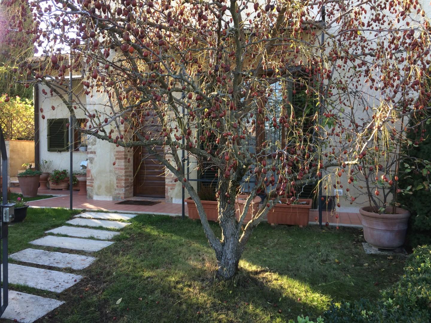 Rustico con giardino, Monteriggioni castellina scalo