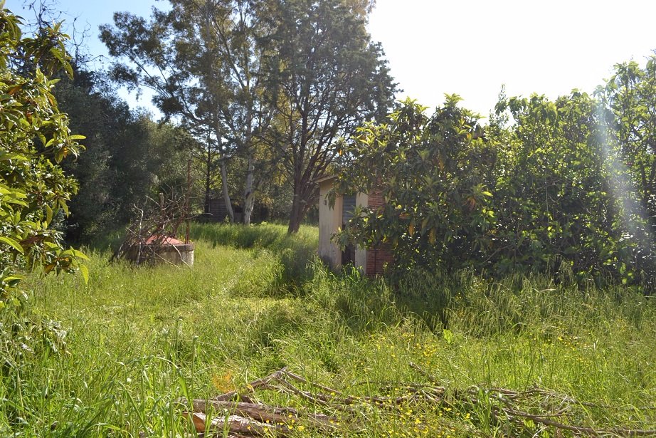 Casa indipendente con giardino, Santa Maria a Monte pregiuntino