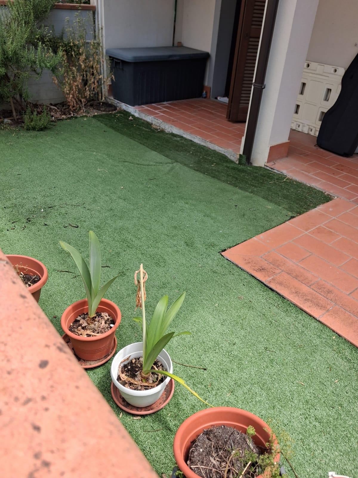 Bilocale con giardino, Santa Maria a Monte montecalvoli alto