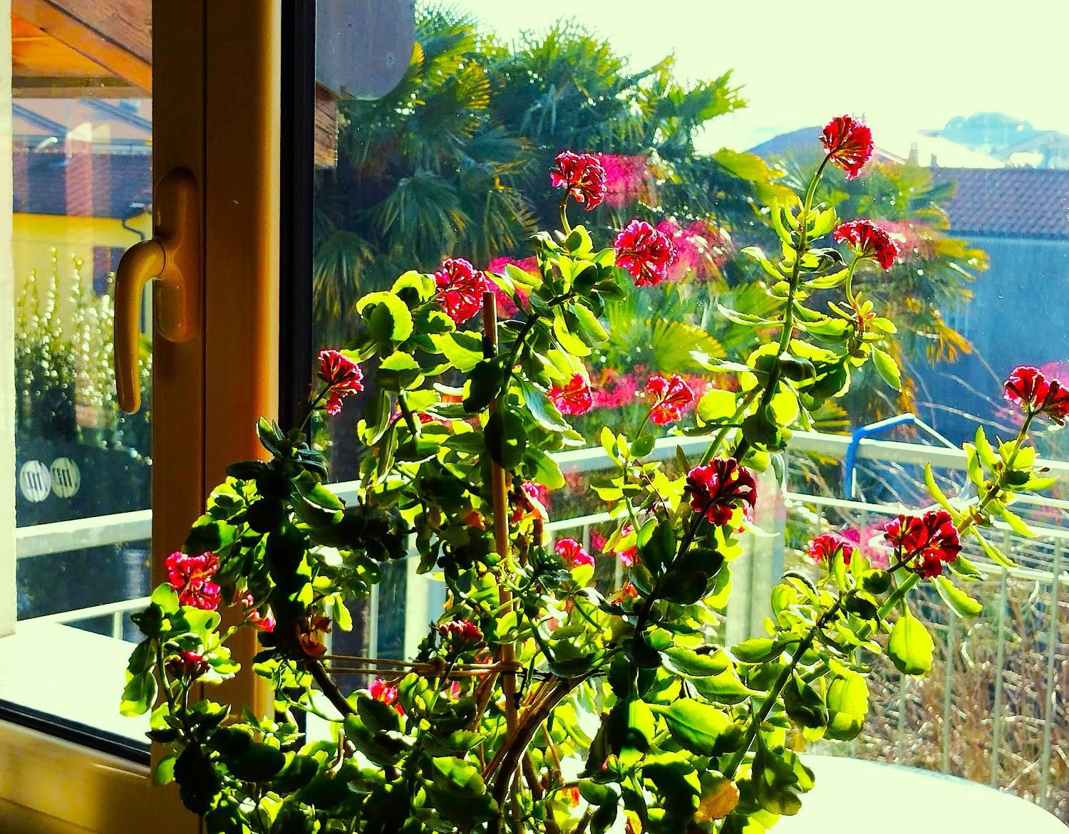 Attico ristrutturato a Cesano Maderno