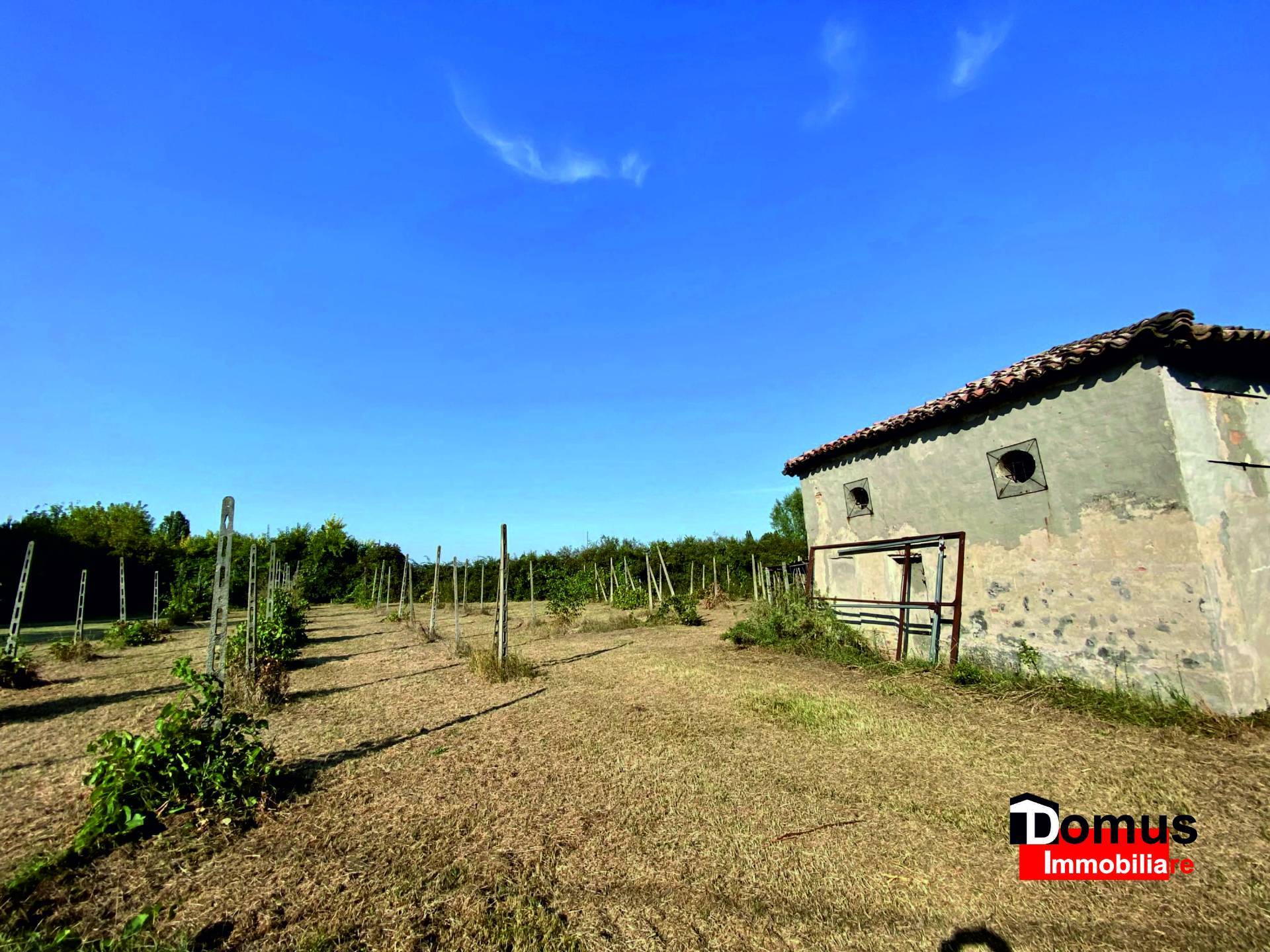 Magazzino in vendita a Copparo, Saletta - C Matte