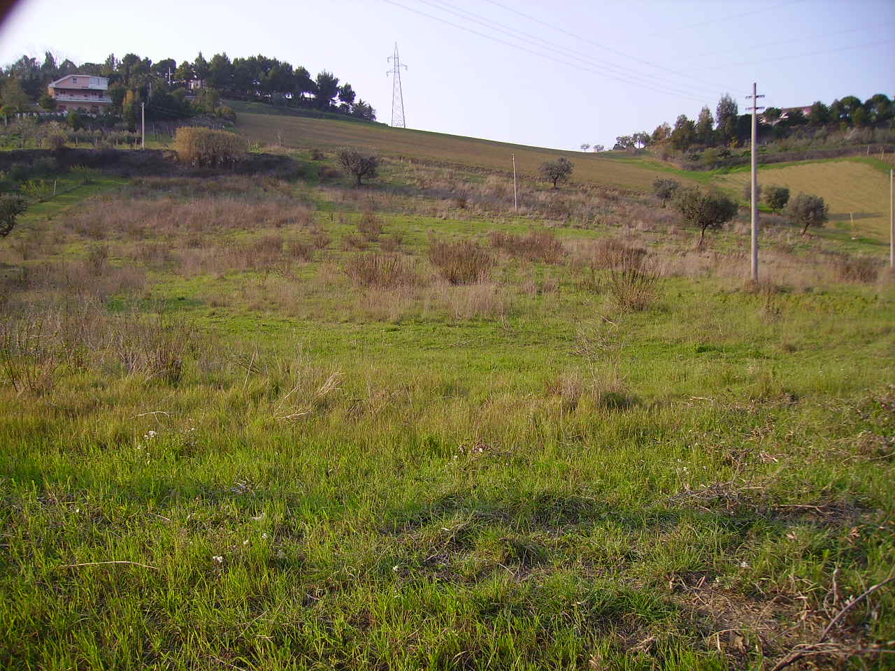 Terreno vista mare a Monteprandone