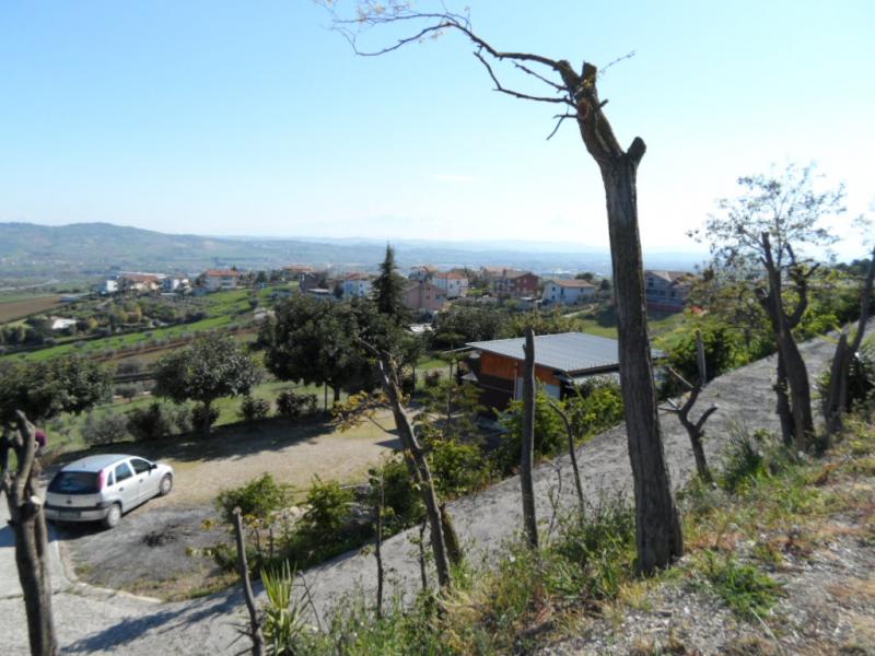 immagine annuncio 4 di 6