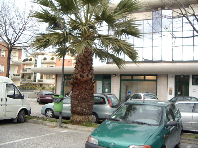 Magazzino - deposito in vendita a San Benedetto del Tronto, Porto d'Ascoli