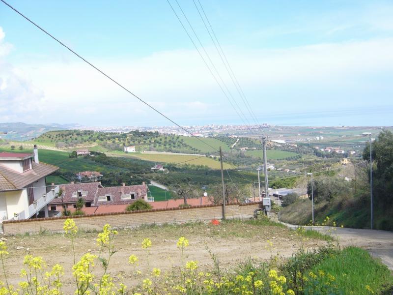 immagine annuncio 4 di 6