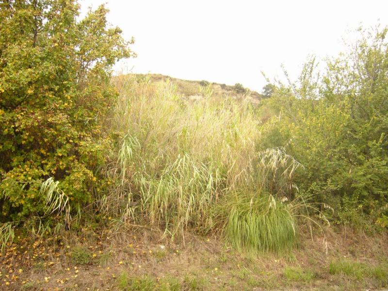 Terreno Agricolo in vendita a San Benedetto del Tronto
