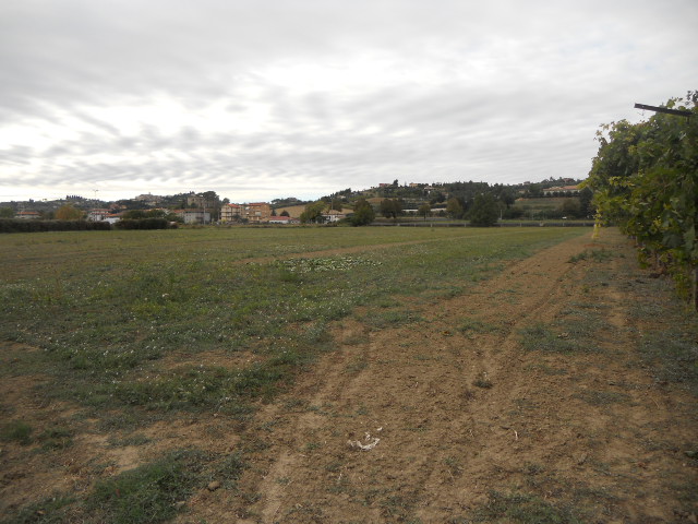 Terreno Agricolo in vendita a Monsampolo del Tronto, Stella di Monsampolo