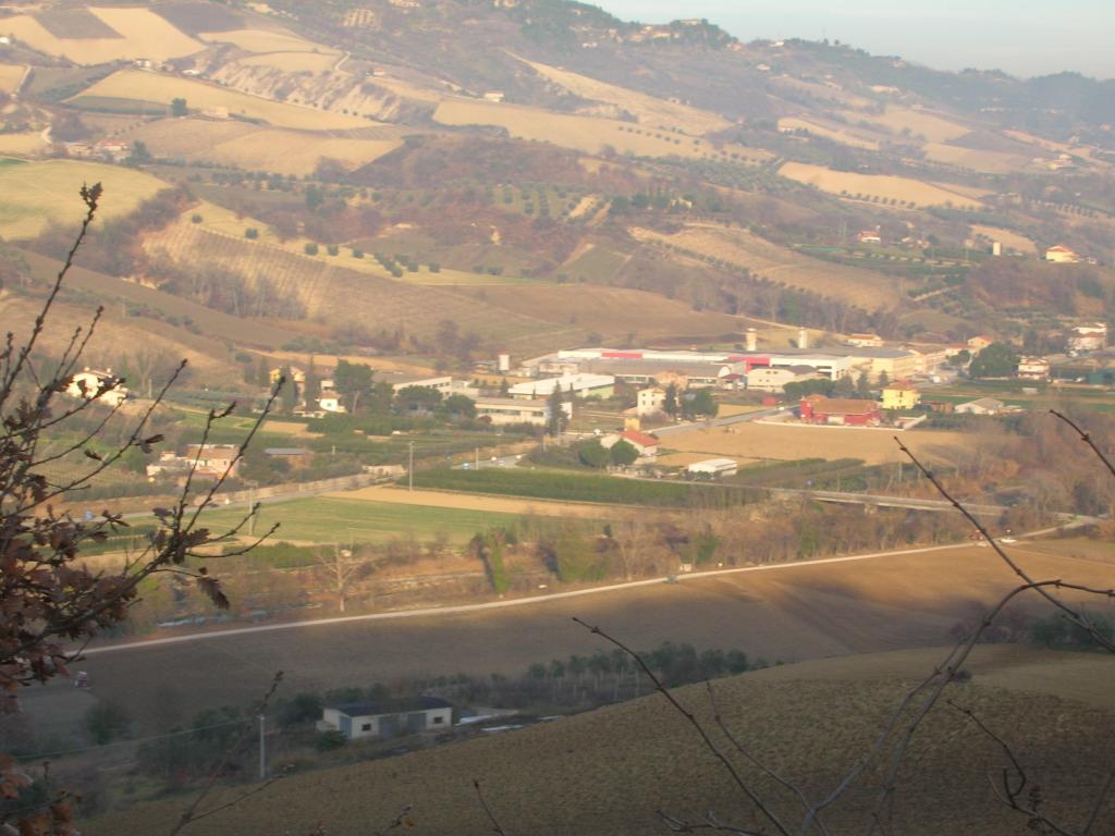 immagine annuncio 5 di 6