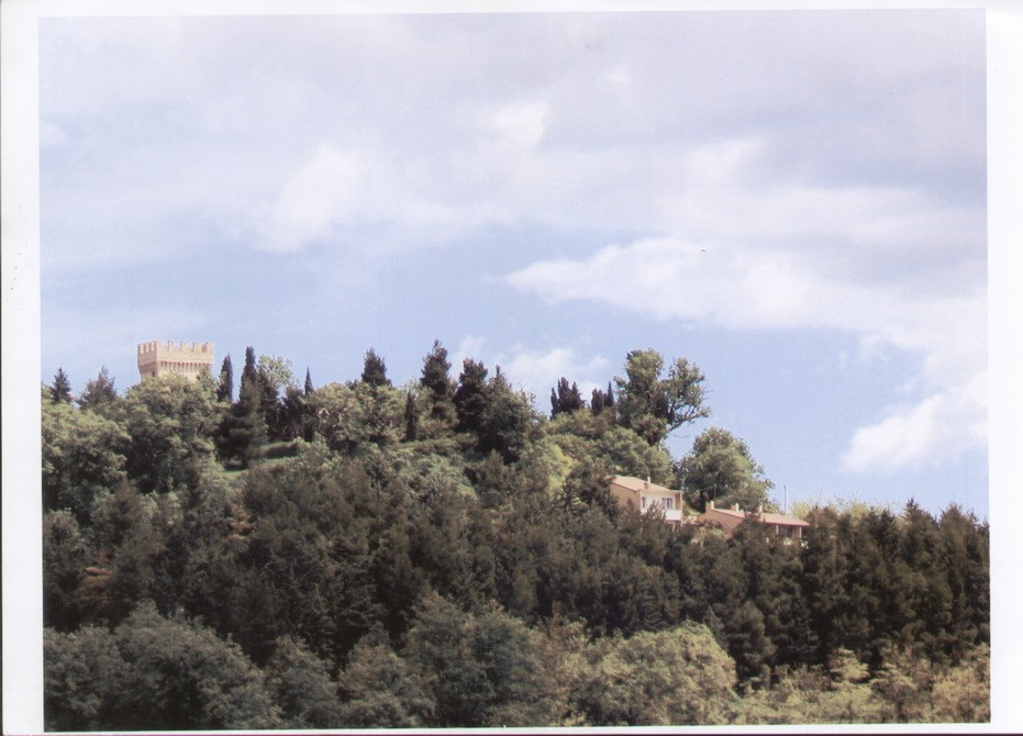 immagine annuncio 1 di 3