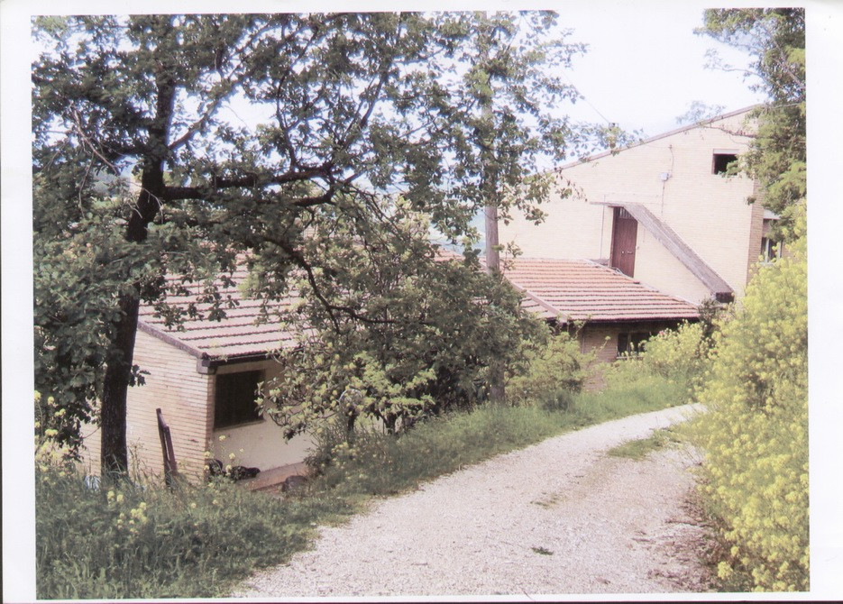 immagine annuncio 2 di 3