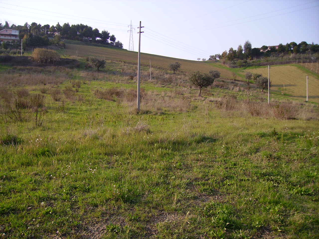 immagine annuncio 3 di 6