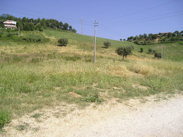 immagine annuncio 4 di 6