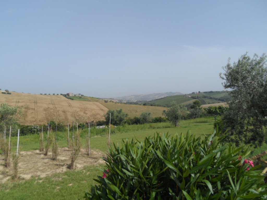 immagine annuncio 2 di 6