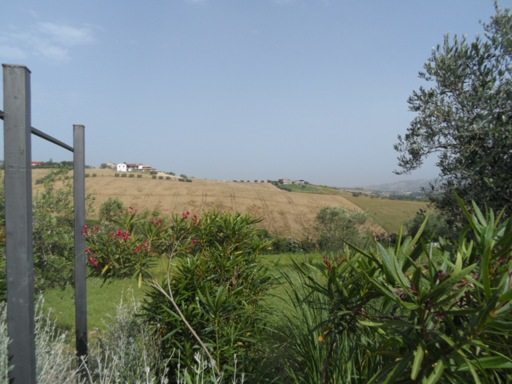 immagine annuncio 4 di 6